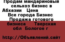 Продам мандариновый сельхоз-бизнес в Абхазии › Цена ­ 1 000 000 - Все города Бизнес » Продажа готового бизнеса   . Тверская обл.,Бологое г.